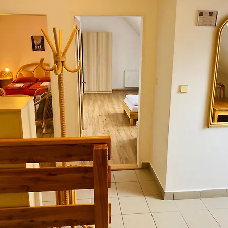 Dolni Namesti Apartment
