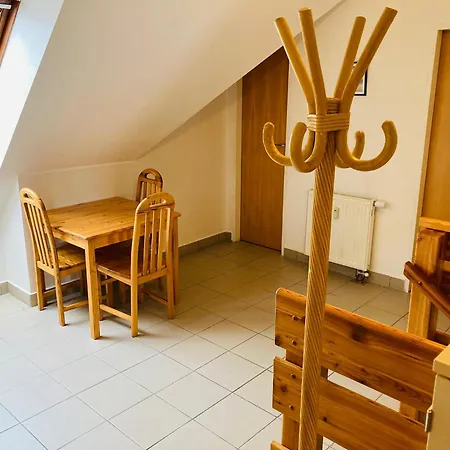 Dolni Namesti Apartment