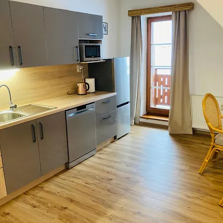 Dolni Namesti Apartment