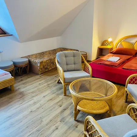 Dolni Namesti Apartment