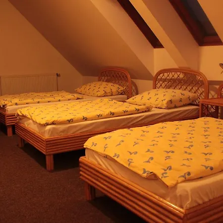 Dolní Náměstí Apartmán