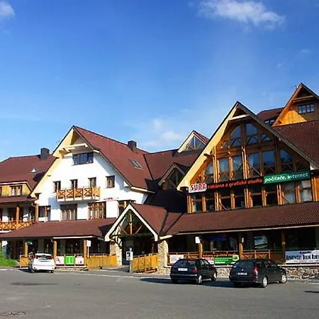 Apartament Dolni Namesti *