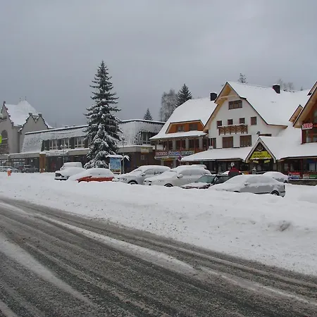 Dolni Namesti Daire *