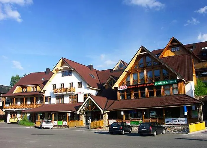Apartment Dolni Namesti *